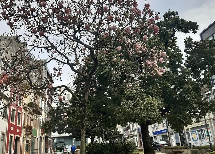 Otf- Centro 아파트 *