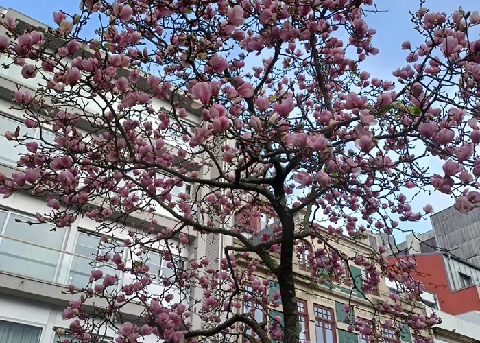 Lägenhet Otf- Centro *